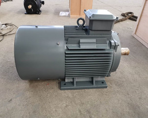 Idro turbina uso 20kW 50kW 100kW basso Rpm generatore a magneti permanenti idro generatore - Product Image 5