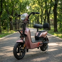 Scooter électrique à deux roues 2026, cyclomoteur, batterie au plomb-acide 48V, vélo électrique pour adultes et usage familial avec dossier passager
