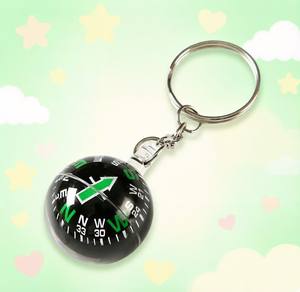 PoeticExist 2026 – Mini boussole à bille liquide pour porte-clés, vente en gros à prix abordable - Product Image 2