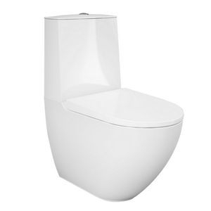 Inodoro Monobloque de 39 cm de Ancho y 67 cm de Largo, sin Borde, Montado en la Pared, con Fijaciones Ocultas - Product Image 1