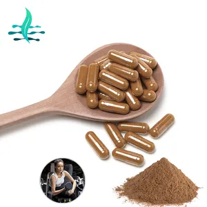 OEM Ajuga Turkestanica Extract 2% Turkesterone Powder Turkesterone Capsules