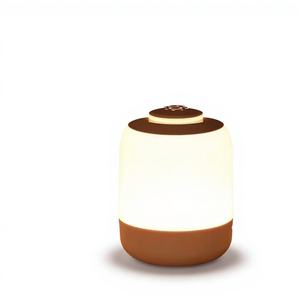 Lámpara LED Recargable de 2700K 4000K 6000K, Lámpara Táctil Nocturna de ABS, Portátil para el Hogar, el Mejor Regalo para Niños - Product Image 1