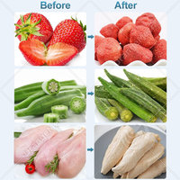 Lyophilisateur alimentaire commercial ORME, machine de lyophilisation des fruits, machine de lyophilisation sous vide 100 kg, prix
