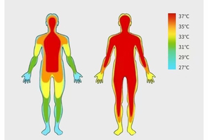 Tappetino per agopuntura caldo per la cura della gamba rilassante per il Relax della gamba con supporto per il riscaldamento a infrarossi lontano per alleviare il dolore terapia fisica con giada calda cintura al ginocchio per massaggio - Product Image 6