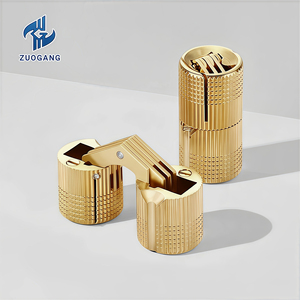 Thiết kế hiện đại 180 độ <span class=keywords><strong>Brass</strong></span> vô hình thùng Bản lề cho đồ nội thất cho nhà bếp phòng khách sạn và căn hộ sử dụng - Product Image 5