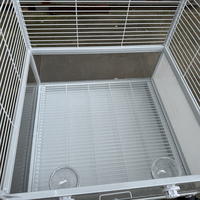 Cage à oiseaux de qualité supérieure, fabriquée en Chine, en promotion directe usine, avec vue panoramique pour perroquets et petits oiseaux.