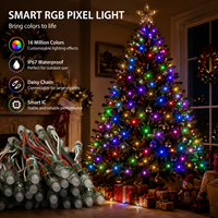 Luz LED Pixel RGB WS2811 de 12 mm, direccionable, programable, IP67, impermeable, para decoración de publicidad exterior