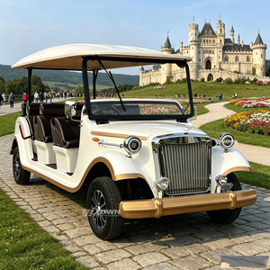 ZOWN Bus de tourisme électrique rétro confortable avec sièges en cuir, idéal pour le transport de 5 passagers en ville ou en station balnéaire, garantie 2 ans - Product Image 2