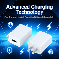 Chargeur mural USB certifié 5V 2A à charge rapide, lot de 2, design léger, protection contre les surintensités pour 13/14/15/16/17
