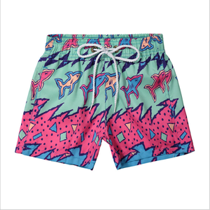 2020 Summer <strong>Ladies</strong> Beach Wear <strong>Lady</strong> <strong>Swim</strong> <strong>Shorts</strong> Female Quick Dry Beach <strong>Shorts</strong> for Women - Product Image 3
