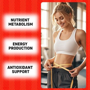 Gummies au vinaigre de cidre de pomme de haute qualité, contenant de l'acide folique et de la vitamine B12, favorisent la santé digestive, gummies amincissants pour adultes - Product Image 5