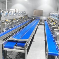 Vruchtensap Verwerking Machine Cip Systeem Kokosnoot Verwerking Plant Coconut Vlees Kokosnoot Water En Melk 304 Roestvrij Staal Stoom