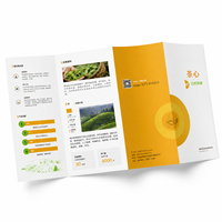 Impression de brochures personnalisées, couleur pleine, recto-verso, pliées, pour la promotion de produits et la publicité d'entreprise