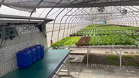 Contrôleur de nutriments numérique Skyplant Greenhouse Farming pour systèmes de culture hydroponiques Contrôleur PH EC