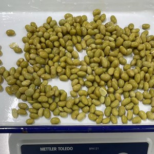 <span class=keywords><strong>Edamame</strong></span> in Scatola Premium, Semi Integri e Sgusciati, Soia Fresca in Scatola dalla Cina - Product Image 3