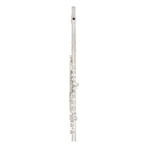 Musical Instruments Wholesale Silver Plated Cloth Case Packaging Flute