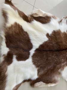 Hele Verkoop Fabriek Prijs Promotie Vloer Echte Schapenvacht Tapijt Echt Bont Tapijt Kort Haar Geitenhuid Tapijten Voor Thuis - Product Image 3