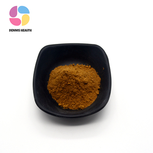 Extrait de <span class=keywords><strong>Guarana</strong></span> d'approvisionnement d'usine 22% <span class=keywords><strong>poudre</strong></span> de Paullinia Cupana organique - Product Image 3