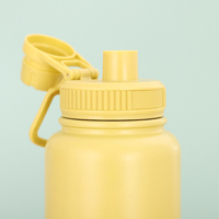 Nouveau design coloré OEM 12Oz 16Oz 18Oz personnalisé mignon en acier inoxydable isolé sous vide ensemble de bouteilles d'eau potable de sport pour les enfants