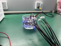 260nm 265nm 270nm Étanche Statique Stérilisation de l'Eau UVC LED Module Spécifique pour Humidificateur Utilisation