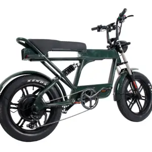 공장 뚱뚱한 타이어 60v 스텔스 1000w 폭격기 전기 자전거 산악 먼지 E 자전거 Enduro Ebike
