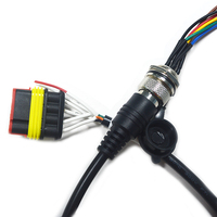 Kabel Harness Kelistrikan Otomotif DJ7041-1.5-21 ke Konektor GX16 |   Rangkaian Kabel Otomatis Tahan Air |   Harness Kabel OEM Kustom
