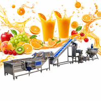 Hoogwaardige complete sapproductielijn voor industrieel gebruik, professionele fruit-sapmachines productielijn