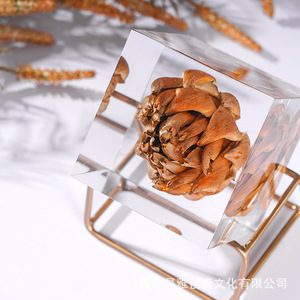 Adornos de Piñas de Pino Acrílicas, Decoración de Mesa de Cristal Transparente Rectangular, Diseño Moderno, Regalo Personal - Product Image 3