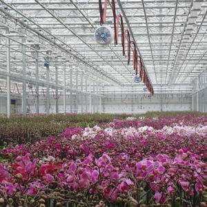 Invernadero Agrícola Hidropónico Económico de Gran Tamaño y Múltiples Vãneas, Personalizado para Cultivo de Tomate, Fresa y Pepino, Sistema Completo de Cultivo en Vidrio - Product Image 2