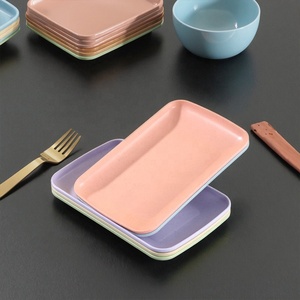 <span class=keywords><strong>Vaisselle</strong></span> hôtel restaurant avec logo personnalisé Assiette en <span class=keywords><strong>plastique</strong></span> mélamine rectangulaire pour plats froids Assiette barbecue - Product Image 4