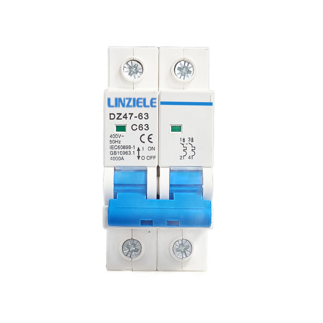 DZ47-63 Miniature 2P 6kA 63A AC DC Thermal Magnetic Circuit Breaker Industrial Use for Electronic Equipment Protection Plastic