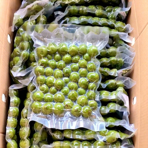 Dracontomelón (Fruta de Cocodrilo) Congelado a Granel, Orgánico, de Alta Calidad, IQF, de Vietnam - Product Image 1