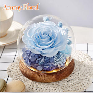 AM-PFA50 fiore Ammy conservato ha rifinito la copertura di vetro del fiore di san valentino regalo creativo della scatola regalo della decorazione di nozze - Product Image 5