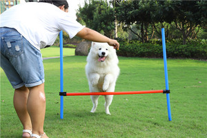Pet seguro Barra de salto agilidad dispositivo equipo de entrenamiento perro obstáculo perro agilidad equipo - Product Image 5