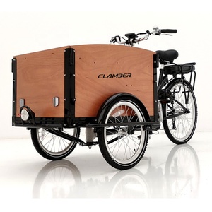 <span class=keywords><strong>Remorque</strong></span> de transport pour animaux de compagnie de haute qualité avec boîte en bois, <span class=keywords><strong>vélo</strong></span> cargo <span class=keywords><strong>électrique</strong></span> familial à trois roues, tricycle <span class=keywords><strong>électrique</strong></span> - Product Image 4