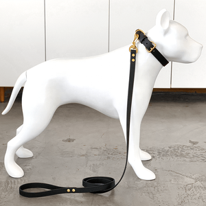 Collar de <span class=keywords><strong>perro</strong></span> de cuero vegano de lujo acolchado de neopreno grueso al por mayor italiano <span class=keywords><strong>Collier</strong></span> en Cuir pour chien - Product Image 6