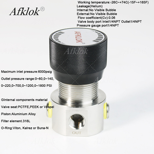 Oksijen Ortamı için WR1B Serisi Mikro Basınç Düşürücü Regülatör 6000psig AST G93 Sınıf C - Product Image 2