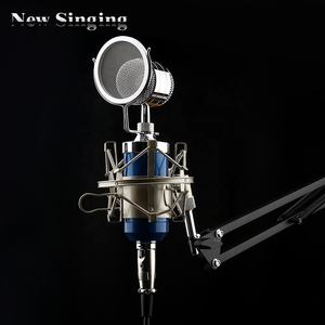 Design moderne BM8000 bureau podcast karaoké condensateur studio microphone enregistrement micro microphone pour <span class=keywords><strong>youtube</strong></span> streaming en direct - Product Image 5