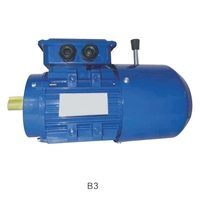 Moteur réducteur électrique à couple élevé 3 CV AC avec boîte de vitesses à vis sans fin et frein