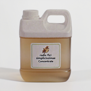 Natural Radix <span class=keywords><strong>Fici</strong></span> Simplicissimae concentrado Esencia de hierbas para la fabricación de bebidas - Product Image 2