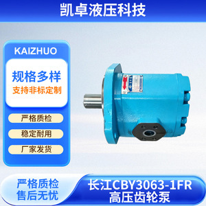 Pompe hydraulique à engrenages haute pression Changjiang CBY3063-1FR à montage sur bride pour machines de construction - Product Image 4