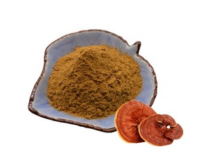 Approvisionnement d'usine 10:1 <span class=keywords><strong>Ganoderma</strong></span> Lucidum extrait poudre 50% polysaccharide contenu extrait de champignon de haute qualité pour une utilisation végétale - Product Image 2