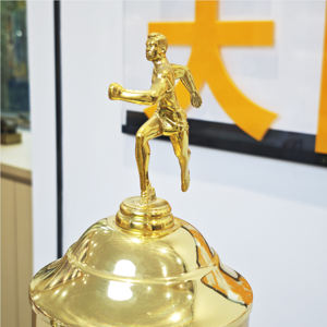 جوائز وميداليات كرة قدم مخصصة ، بطل دوري كرة الطائرة ، كأس معدني - Product Image 5