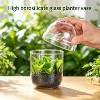 Articles de décoration de Rome : Terrarium en verre transparent pour mousse, vase en verre soufflé à la main pour plantes hydroponiques avec couvercles en dôme et trou