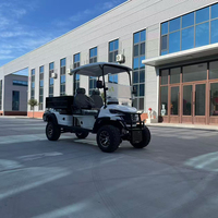 Nouveau design de véhicules utilitaires : Voiturette de golf électrique 4x4 pour 1 ou 2 passagers, Buggy de golf, Buggy des dunes, Véhicule utilitaire
