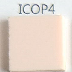 ICOP4