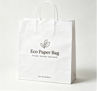 Sacs cadeaux écologiques en papier kraft, sacs jetables avec poignées en corde de coton, logo imprimé numérique, style classique, sac plat standard