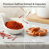 Safran en poudre de qualité supérieure, extrait végétal de stigmates rouges, extrait de crocine à 0,5 %, qualité alimentaire, fournisseur en vrac OEM