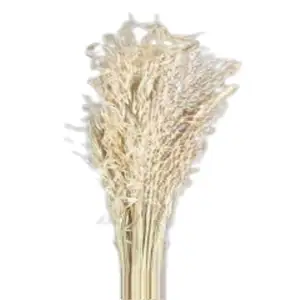 Натуральный цветок хорошего качества, оптовая продажа, Высушенная трава для домашнего свадебного украшения, для высушенной цветочной композиции