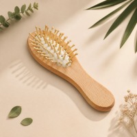Sisir Rambut Mini OEM dari Bambu Kayu dengan Bantalan Udara untuk Penggunaan di Hotel, Rumah Tangga, atau Sebagai Hadiah